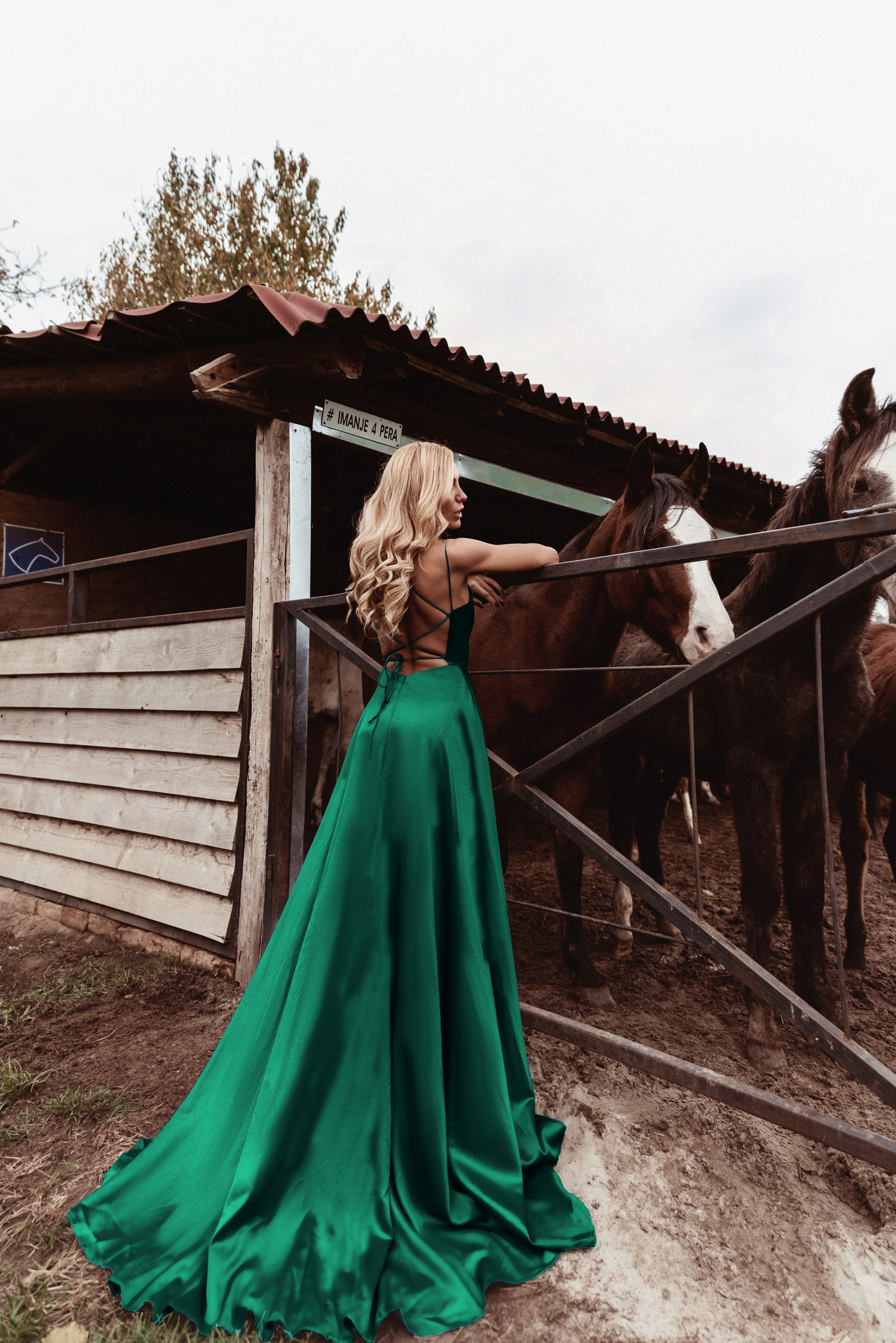 Tina Holly | TE001 Satin Plunging Neckline Laced Back Floor Sweeping Dress