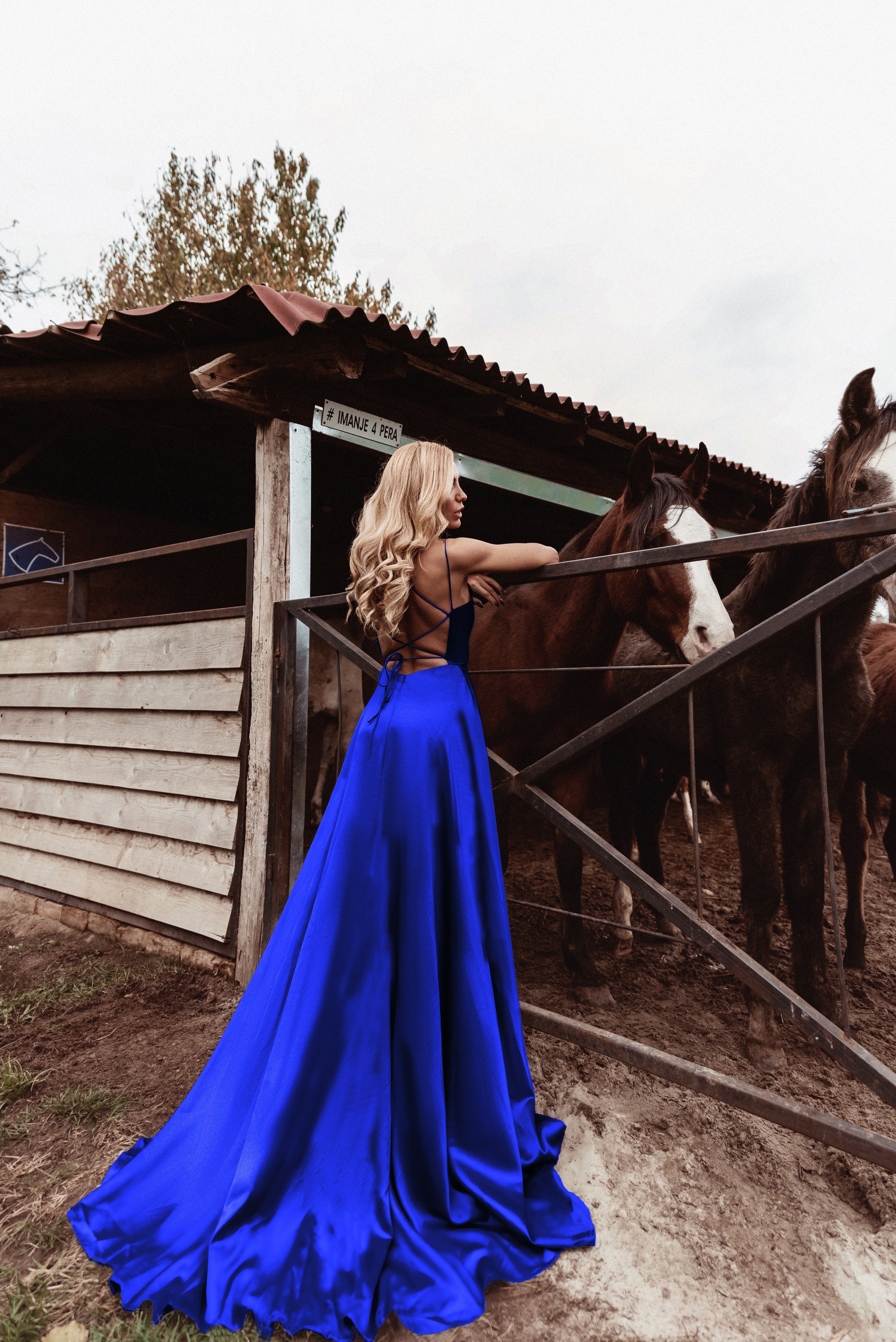 Tina Holly | TE001 Satin Plunging Neckline Laced Back Floor Sweeping Dress