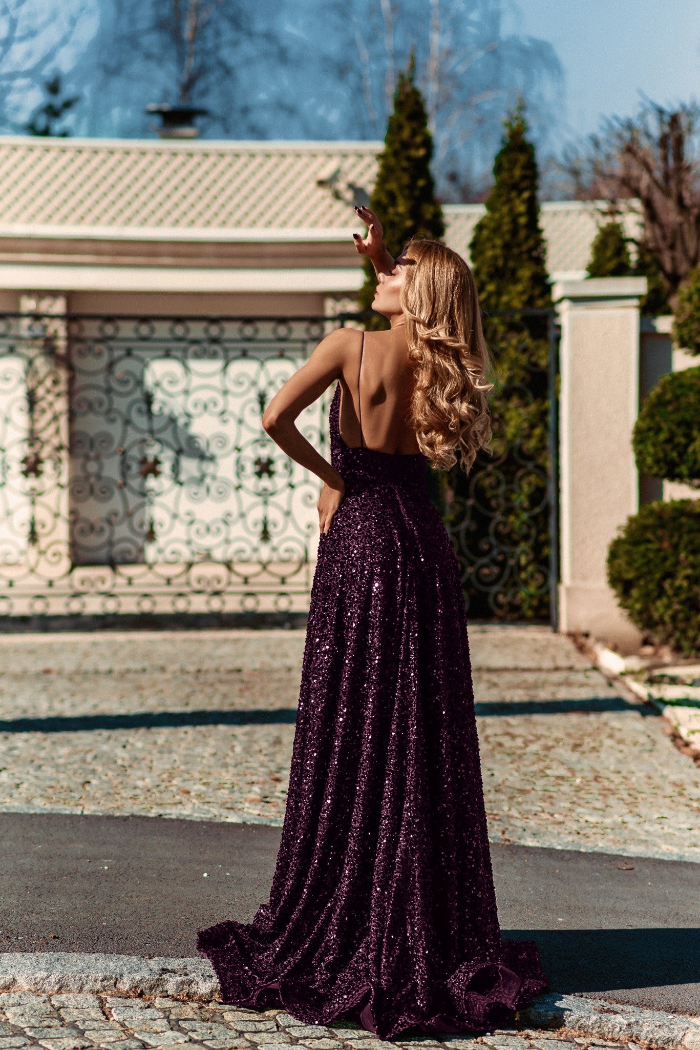 Tina Holly | TE123 Sequin Plunging Neckline Spaghetti Strap A-Line Full Length Dress Plum (Made-To-Order)